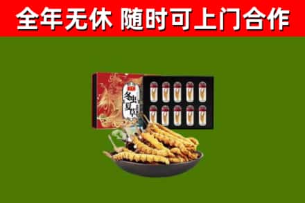 米易县回收冬虫夏草价格